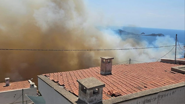 İzmir Dikili’de Yangın Çıktı