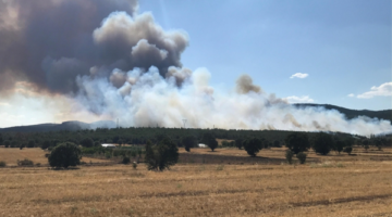 Uşak’ta Ormanlık Alanda Yangın