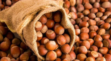 Fiskobirlik Fındık Fiyatı Açıkladı