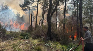 Antalya’da Orman Yangını!