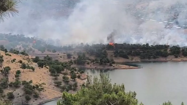Adıyaman’da Orman Yangını: Müdahale Sürüyor