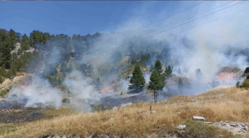 Antalya’da Orman Yangını