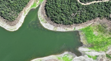 İstanbul’da Barajlarda Su Seviyesi Azalmaya Devam Ediyor